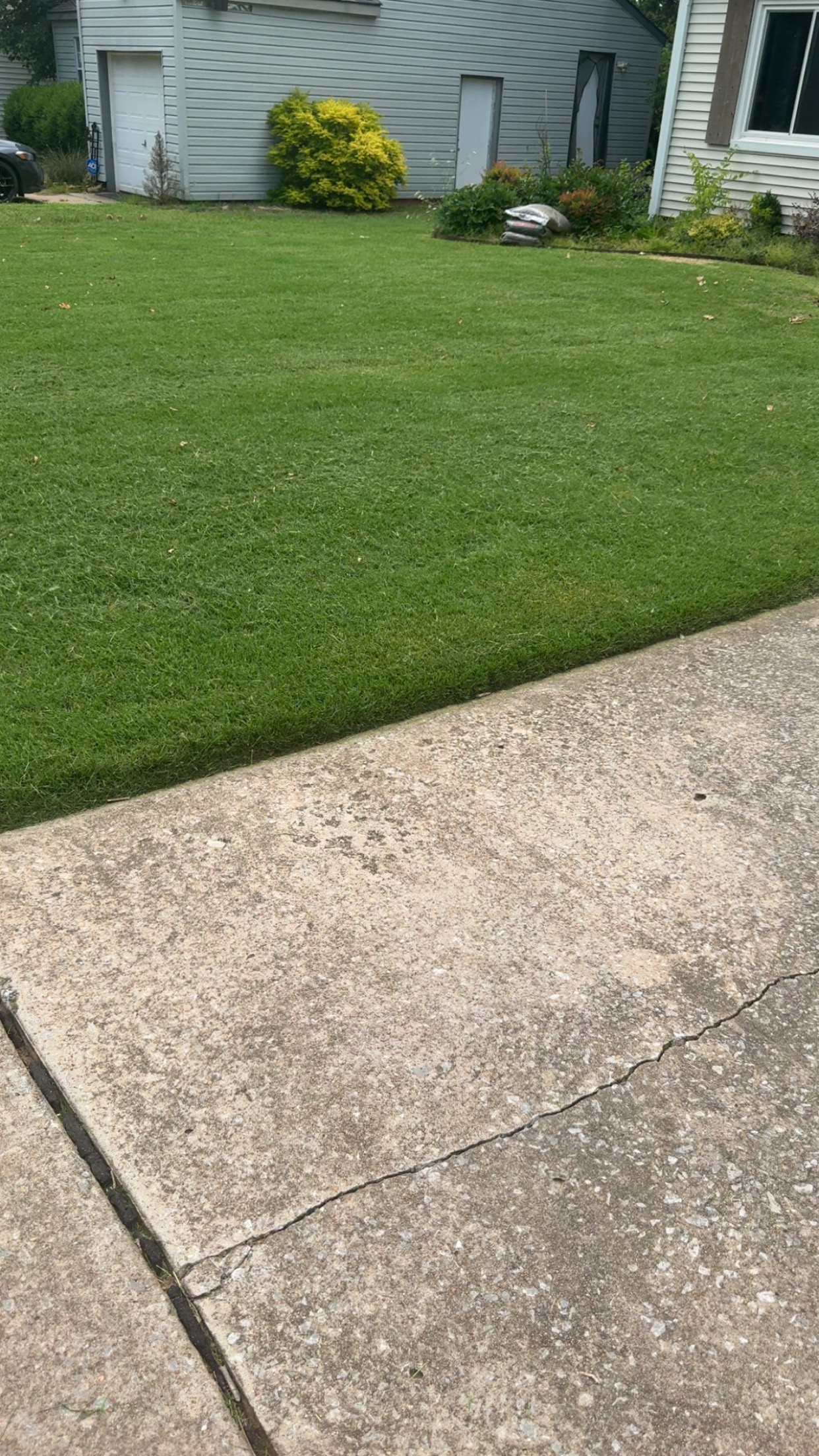 Clean edged residential lawn